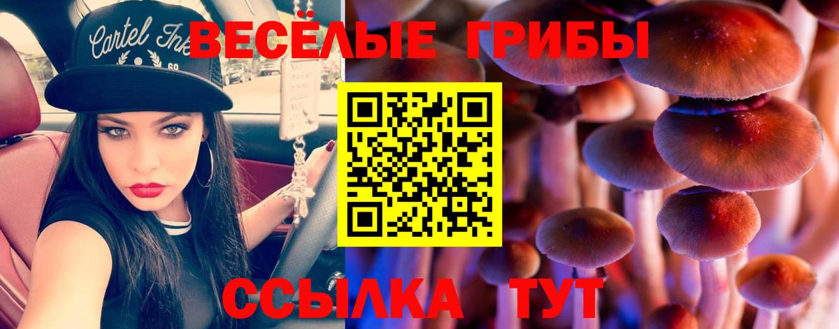 Миасс  Галлюциногенные грибы ЛСД  Вход с VPN  Галлюциногенные грибы Psilocybe 